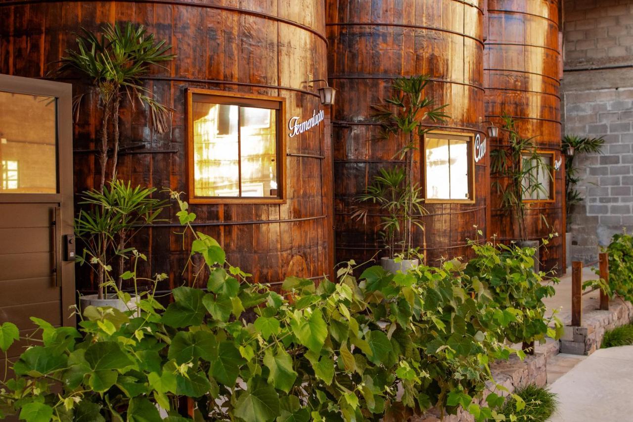 Villa Vinicolla Hospedagem Conceito Bento Gonçalves Dış mekan fotoğraf